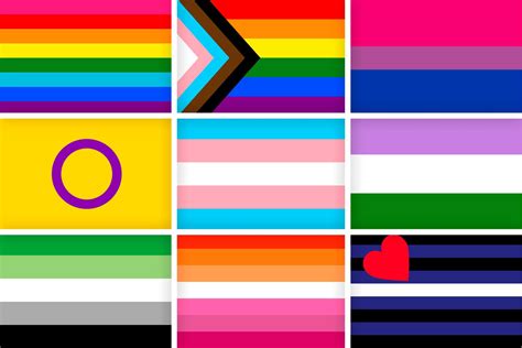 hypersexual flag|Every LGBTQ Pride flag and what they all mean